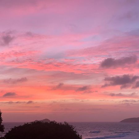 Green Turtle Cottage Pukenui ภายนอก รูปภาพ