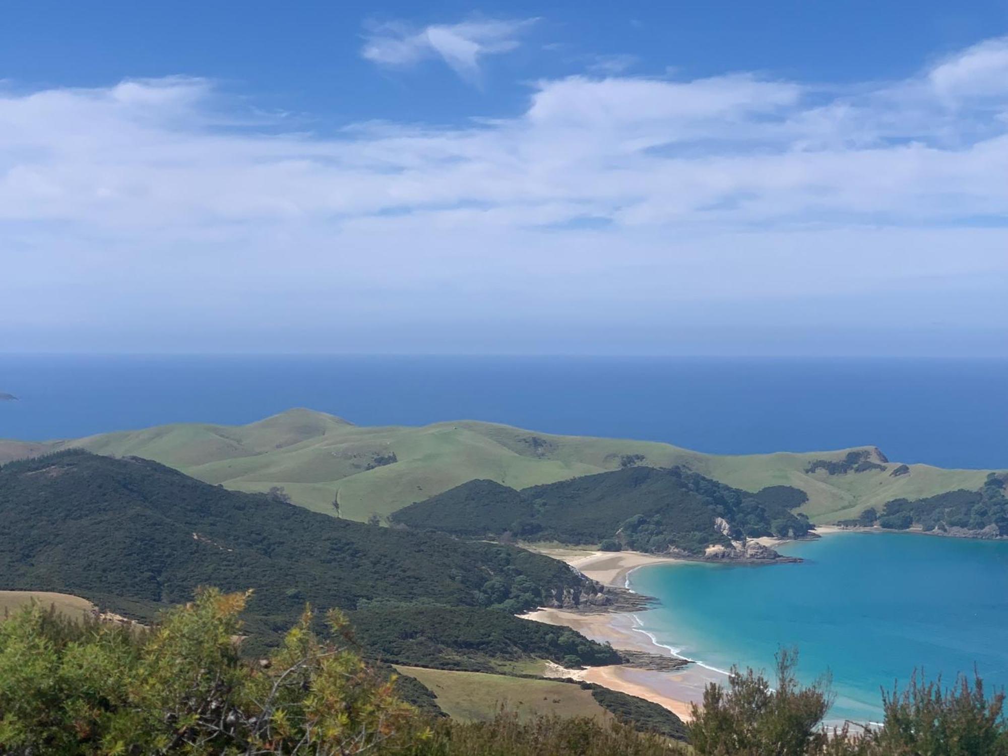 Green Turtle Cottage Pukenui ภายนอก รูปภาพ