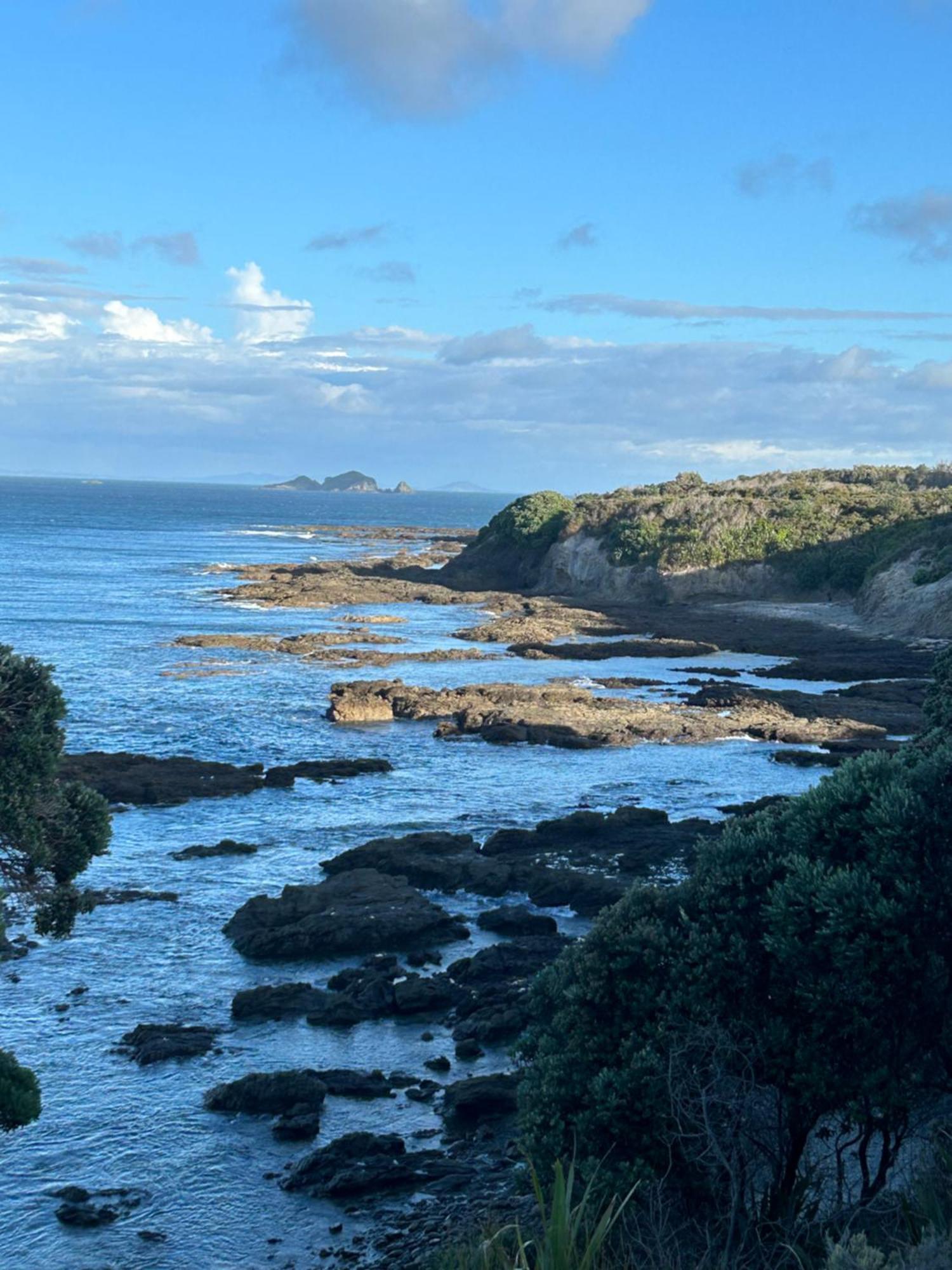 Green Turtle Cottage Pukenui ภายนอก รูปภาพ