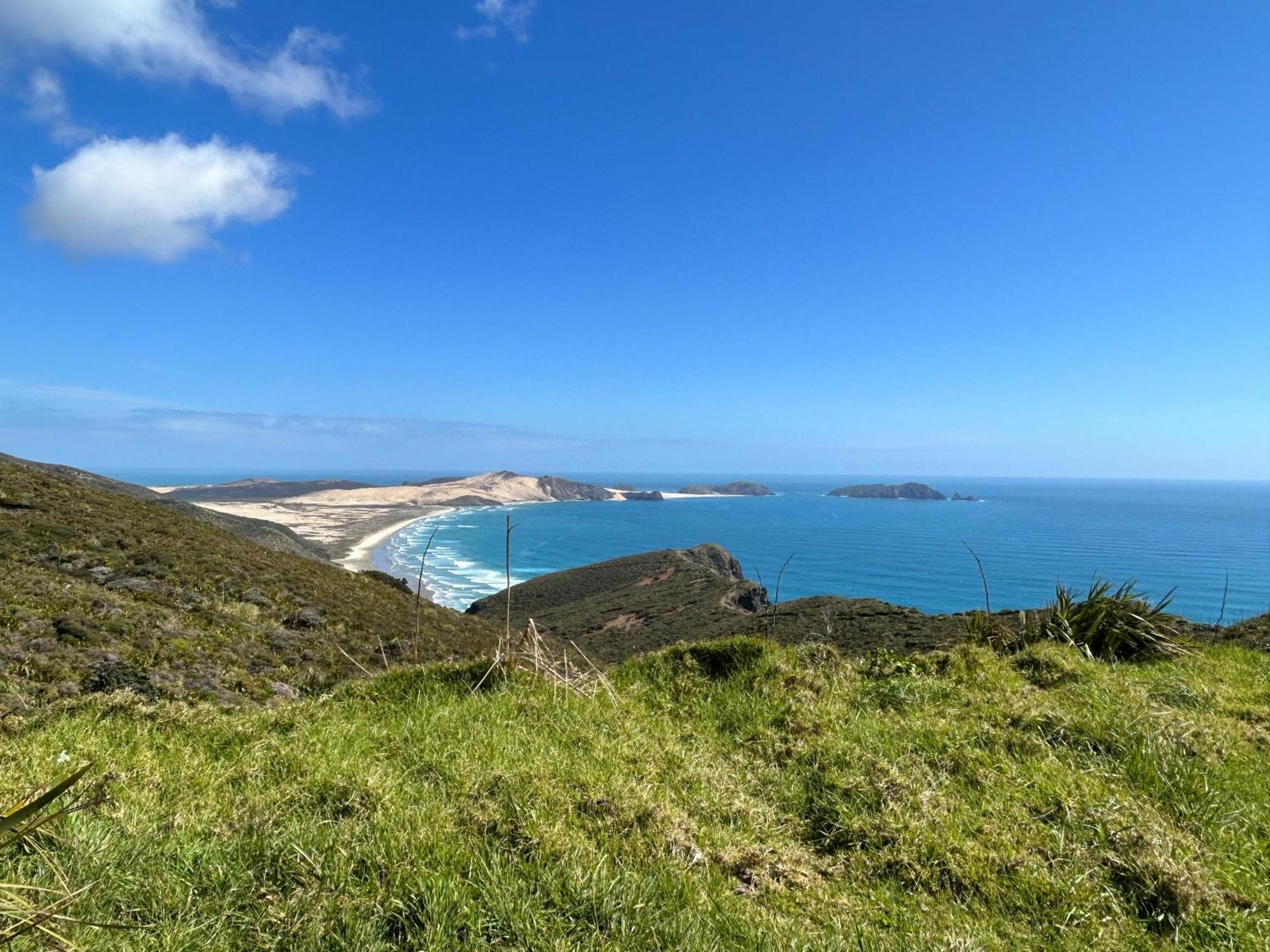 Green Turtle Cottage Pukenui ภายนอก รูปภาพ