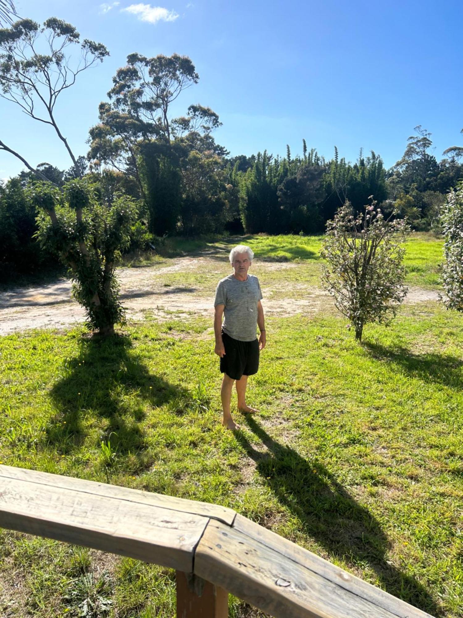 Green Turtle Cottage Pukenui ภายนอก รูปภาพ
